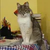 Отзыв от Наталия Овчинникова